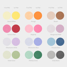Load image into Gallery viewer, 固體顏料粉狀12色丨Pigment Powder 12 Color Set