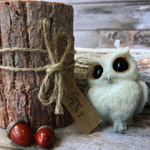 Load image into Gallery viewer, 森林智者與木頭蠟燭工作坊｜Wisdom Owl in Forest Candle Workshop
