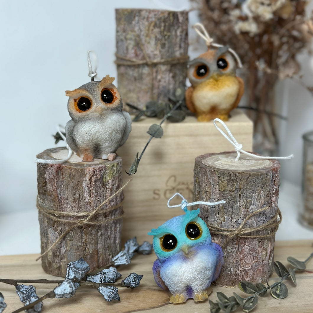 森林智者與木頭蠟燭工作坊｜Wisdom Owl in Forest Candle Workshop